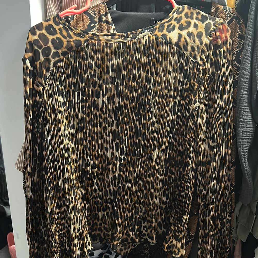 Express women’s pleated top, worn once.